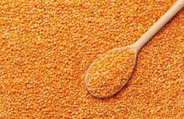 Tahta kaşık ve karabuğday lapası yakın çekim dokusunda çiğ karabuğday..