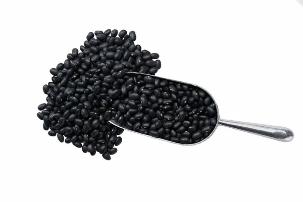 Small Metal Spoon Scoop Organic Black Beans Urad Dal Black — Stok fotoğraf