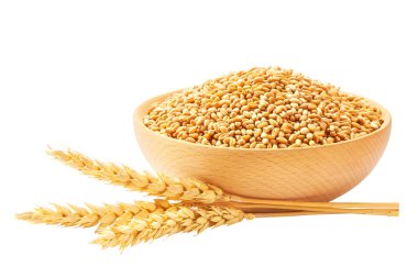 dry wheat grains in a wooden bowl isolated on white background.