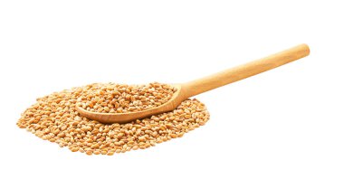 dry wheat grains from a wooden spoon isolated on white background.