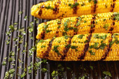 Tasty grilled corn cobs with parsley close up.
