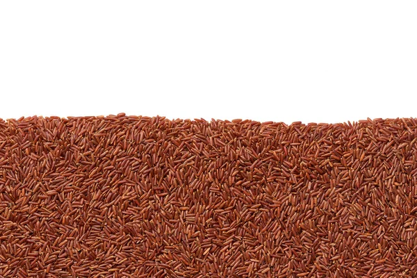 원문을 복사할 수있는 날붉은 쌀밥의 — 스톡 사진