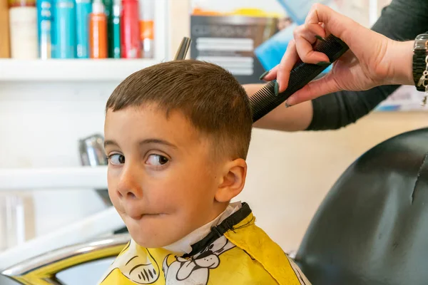 Niño Pequeño Que Tiene Corte Pelo Peluquería Los Niños Peluquería Imágenes De Stock Sin Royalties Gratis