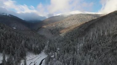 Soğuk dağlarda karla kaplı ormanlar arasında küçük kır evleri olan hava manzarası.