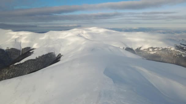 Superbe vol aérien au-dessus d'une chaîne de montagnes brumeuses, de prairies et de sommets enneigés en hiver. Mont Gymba, Carpates ukrainiennes. 4k vue aérienne. — Video