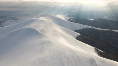 Sisli sıradağlar, çayırlar ve kış mevsiminde karla kaplı tepeler üzerinde inanılmaz bir uçuş. Gymba Dağı, Ukrayna Karpatları. 4k hava görüntüsü.