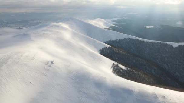 Incredibile volo aereo sopra la catena montuosa nebbiosa, prati e cime innevate in inverno. Monte Gymba, Carpazi ucraini. Vista aerea 4k. — Video Stock