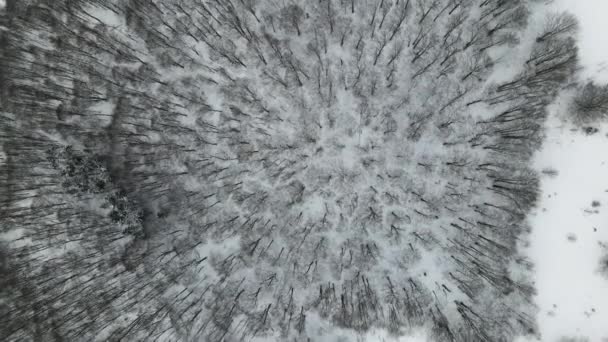 Fotografia aérea de uma floresta coberta de neve. Paisagem de inverno de colinas cobertas de neve. Paisagem natural de tirar o fôlego, floresta congelada e rio de montanha escuro. — Vídeo de Stock