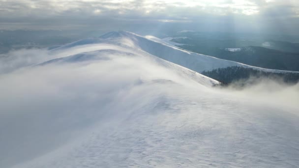 在山顶上的云彩中飞翔.令人惊奇的空中飞行覆盖了多雾的山脉，草地和积雪覆盖了山顶在冬季。Gymba山乌克兰喀尔巴阡山脉4k航空视图. — 图库视频影像