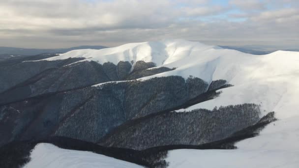 令人惊奇的空中飞行覆盖了多雾的山脉，草地和积雪覆盖了山顶在冬季。Gymba山乌克兰喀尔巴阡山脉4k航空视图. — 图库视频影像