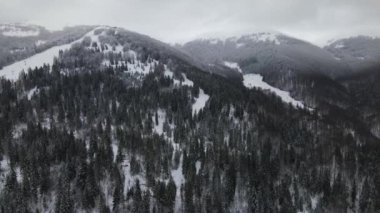 Soğuk dağlarda karla kaplı ormanlar arasında küçük kır evleri olan hava manzarası.