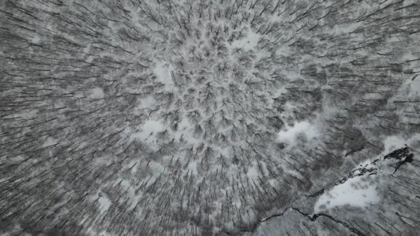 Fotografia lotnicza lasu pokrytego śniegiem. Zimowy krajobraz wzgórz pokrytych śniegiem. Zapierające dech w piersiach naturalne krajobrazy, zamarznięty las i ciemna górska rzeka. — Wideo stockowe