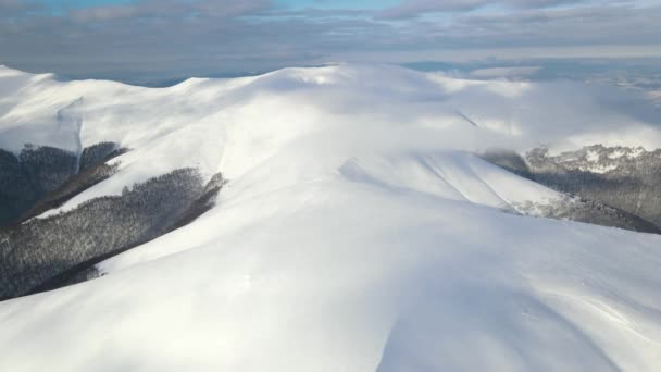 Incredibile volo aereo sopra la catena montuosa nebbiosa, prati e cime innevate in inverno. Monte Gymba, Carpazi ucraini. Vista aerea 4k. — Video Stock