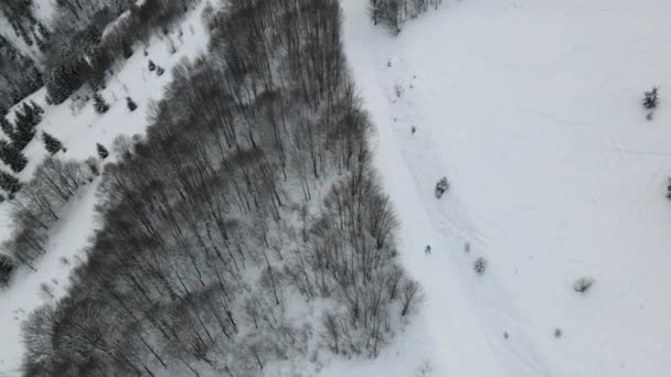 Flygfoto av en skog täckt med snö. Vinterlandskap av kullar täckta med snö. Häpnadsväckande naturlandskap, frusen skog och mörk bergsflod. — Stockvideo