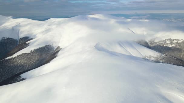 Incredibile volo aereo sopra la catena montuosa nebbiosa, prati e cime innevate in inverno. Monte Gymba, Carpazi ucraini. Vista aerea 4k. — Video Stock