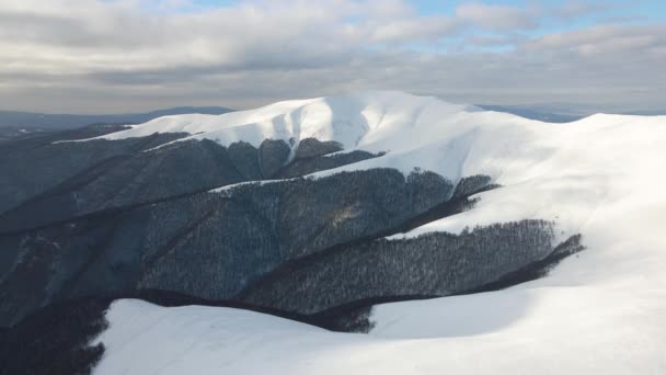 Incredibile volo aereo sopra la catena montuosa nebbiosa, prati e cime innevate in inverno. Monte Gymba, Carpazi ucraini. Vista aerea 4k. — Video Stock