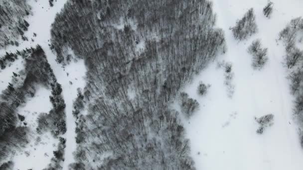 Letecká fotografie lesa pokrytého sněhem. Zimní krajina kopců pokrytá sněhem. Dech beroucí přírodní krajina, zamrzlé lesy a tmavá horská řeka. — Stock video