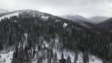 Soğuk dağlarda karla kaplı ormanlar arasında küçük kır evleri olan hava manzarası.