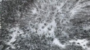 Karla kaplı bir ormanın havadan çekilmiş fotoğrafı. Karla kaplı tepelerin kış manzarası. Nefes kesici doğal manzara, donmuş orman ve karanlık dağ nehri..
