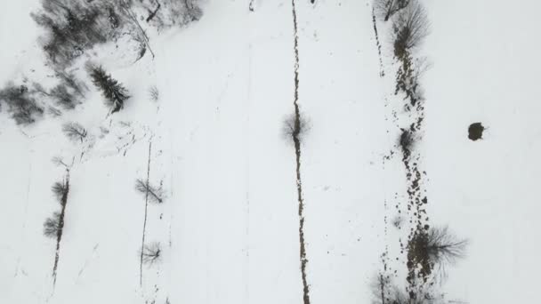 Fotografia lotnicza lasu pokrytego śniegiem. Zimowy krajobraz wzgórz pokrytych śniegiem. Zapierające dech w piersiach naturalne krajobrazy, zamarznięty las i ciemna górska rzeka. — Wideo stockowe