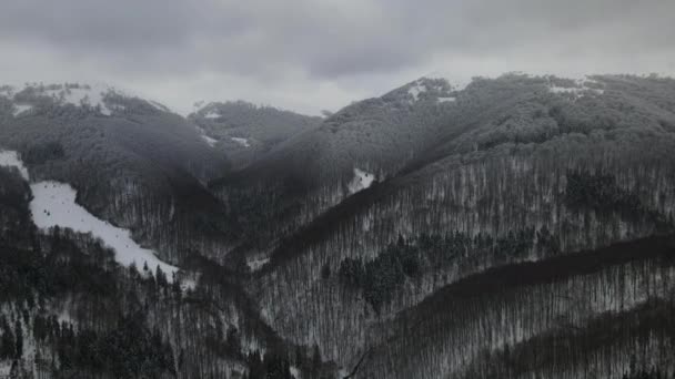 Incredibile volo aereo sopra la catena montuosa nebbiosa, prati e cime innevate in inverno. Monte Gymba, Carpazi ucraini. Vista aerea 4k. — Video Stock