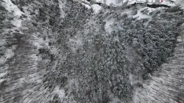 Fotografia lotnicza lasu pokrytego śniegiem. Zimowy krajobraz wzgórz pokrytych śniegiem. Zapierające dech w piersiach naturalne krajobrazy, zamarznięty las i ciemna górska rzeka. — Wideo stockowe