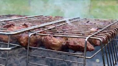 Barbeküde ızgara tabağına yakın çekim. Izgara şiş ızgara. Kömür pişirilmiş et. BBC 'deki metal şişte lezzetli yemekler. Piknik zamanı. Yemek festivali. Kazıkta domuz eti. Kızarmış domuz.