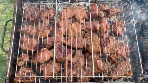 Marinated barbecue meat on skewer. Shish kebab or Shashlyk meaning skewered  meat. Beef or pork on grill on an open fire. Street food, picnic concept  Stock Photo