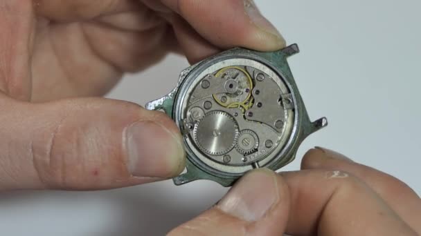 Repair of mechanical watches with special tools, watch workshop. Old vintage clock mechanism working, soft focus closeup shot. Close up of the internal clock mechanism.Vintage clock — Stockvideo