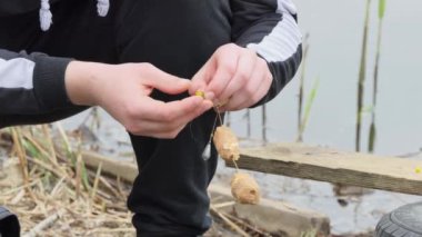 Fisherman loads the bait in the feeder tackle for fishing. Spring fishing.
