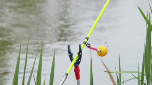 A colored rattle for biting is put on a fishing rod while fishing. Bite signal at the tip of the rod. The bite alarm will alert you to a bite. Fishing tackle close-up. — Video
