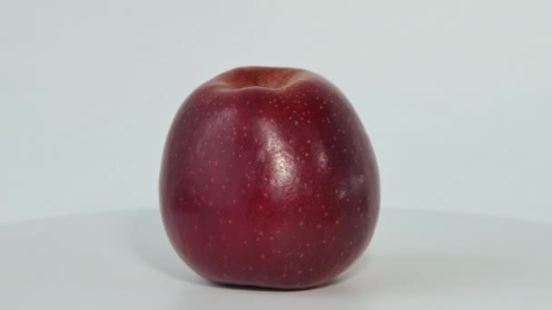 Satu apel merah utuh berputar. Tembakan makro dari apel merah. Sebuah apel berputar di sekitar sumbu pada latar belakang putih. — Stok Video