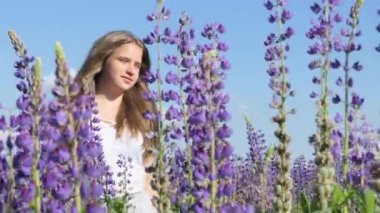 Hasır şapkalı lupin buketi olan güzel bir kız lupin tarlasında yürüyor ve kameraya gülümsüyor. Güneşten güzel bir parıltı. 4 bin dolar.