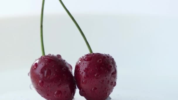 Des Cerises Rouges Dans Eau Tombent Sur Fond Blanc Macro — Video