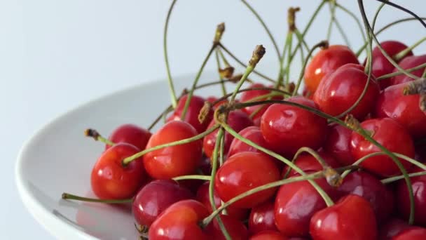 Les Cerises Rouges Juteuses Fraîches Tournent Sur Fond Blanc — Video