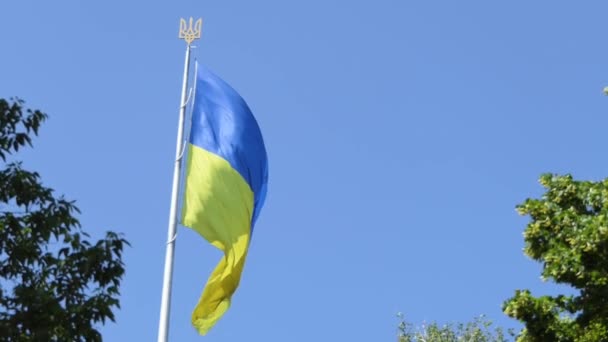 Bandeira Textura Tecido Altamente Detalhada Ucrânia Movimento Lento Bandeira Ucrânia — Vídeo de Stock