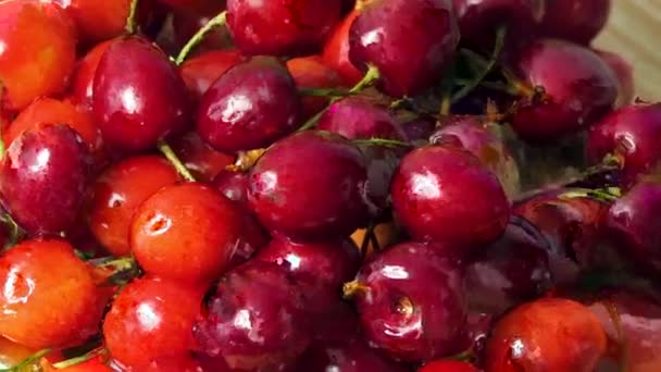 新鲜多汁的湿红樱桃轮换 鸟儿樱桃浆果 循环运动4K — 图库视频影像