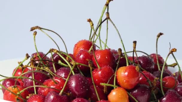 Les Cerises Rouges Juteuses Fraîches Tournent Sur Fond Blanc — Video