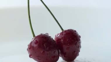 Beyaz arka planda kırmızı kiraz damlaları. Makro video, sulu böğürtlen izole edilmiş 4K