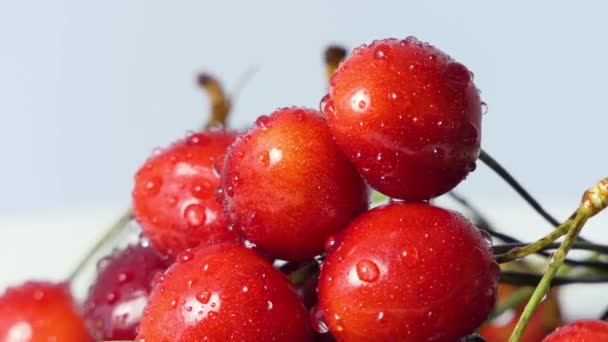 新鲜多汁的红樱桃浆果在白色背景上旋转4K — 图库视频影像