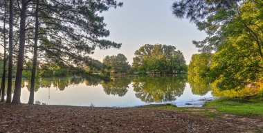 Yansımalı Lakeside Manzarası: Montgomery Alabama 'da Halcyon Zirvesi' nde sıcak bir yaz akşamında ağaçların yansıdığı bir göl..
