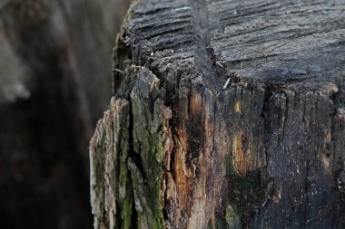 Yakın planda eski ahşabın zıt dokusu