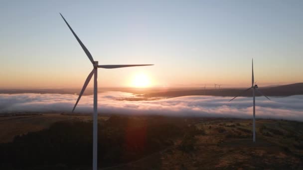 Вітрова електростанція на сході сонця. Аерофотозйомка — стокове відео