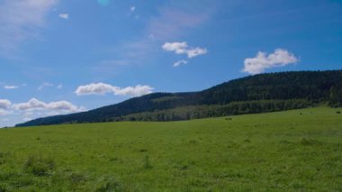 Dağlarda yeşil alan