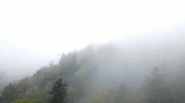 Dağlarda Yağmur, Bulutlar Mistik Sis, Bulutlu Yağmurlu Gün, Sisli Orman, Alp Ormanı 'nda Dumanlı Duman, Bulutlu Zaman Çizelgesi