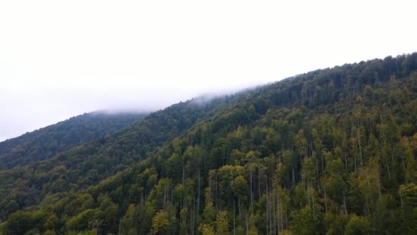 Regen in de bergen, Wolken Mystieke mist, Bewolkte regendagen, Mistige bossen, Stommige mist in het alpenbos, Bewolkte tijdspanne — Stockvideo