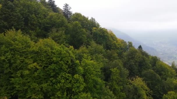 Green Carpathian montanhas na Ucrânia — Vídeo de Stock