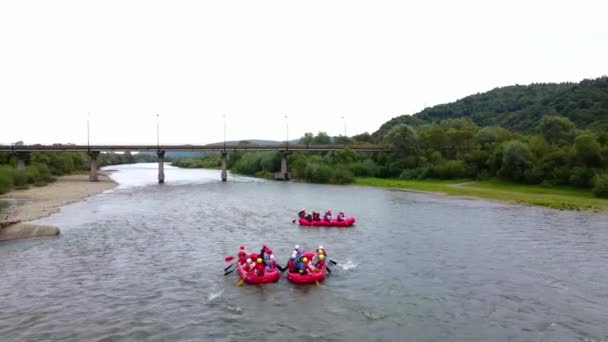 Rafting sur la rivière dans les montagnes — Video