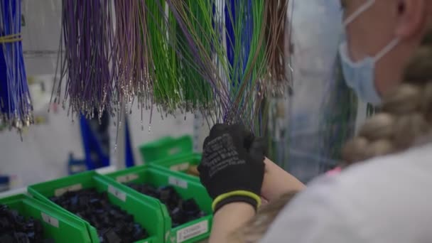 Installation de production de chaussures. InduUn employé de l'usine fabrique des produitsles travailleurs d'essai utilisent l'équipement de l'usine pour fabriquer des chaussures — Video