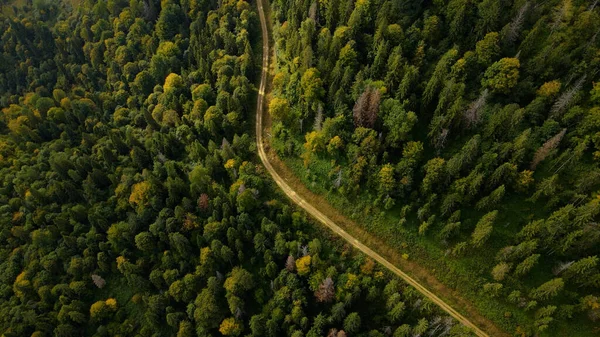 Trilha da floresta de verão. Fotografia aérea. Estrada de madeira — Fotografia de Stock